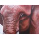 Tableau éléphant pygmée - 120x90 cm