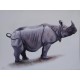 Tableau Rhinoceros -120x90 cm