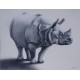 Tableau Rhinoceros -120x90 cm