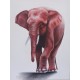 Tableau éléphant pygmée - 120x90 cm