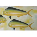 Dorades coryphènes-Mahi mahi- Tableau de poissons jaunes- 120x80 cm