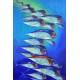 Tableau vertical banc poissons colorés fond bleu grande taille 180x120 cm