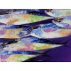 Tableau décoratif violet poissons 100x100 cm