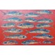Tableau poissons regroupés fond rouge 120x80 cm