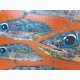 Toile orange avec poissons 120x60 cm