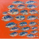 Tableau cuisine décoratif poissons fond orange 60x60 cm