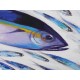 Tableau poissons thons ou bonites sur fond blanc- 130x90 cm